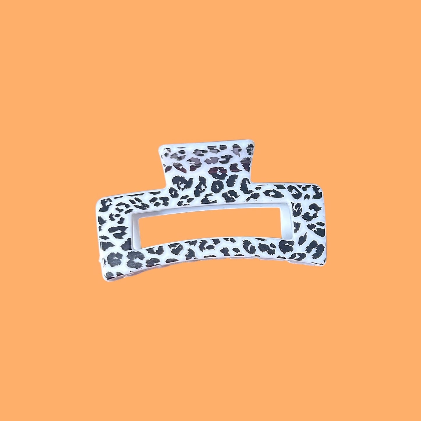 Cheetah Crew