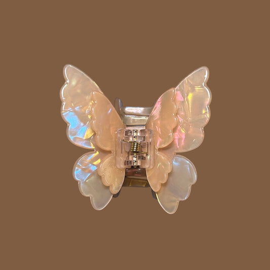 Flutter Fly